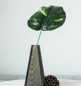 Inicio product 07
